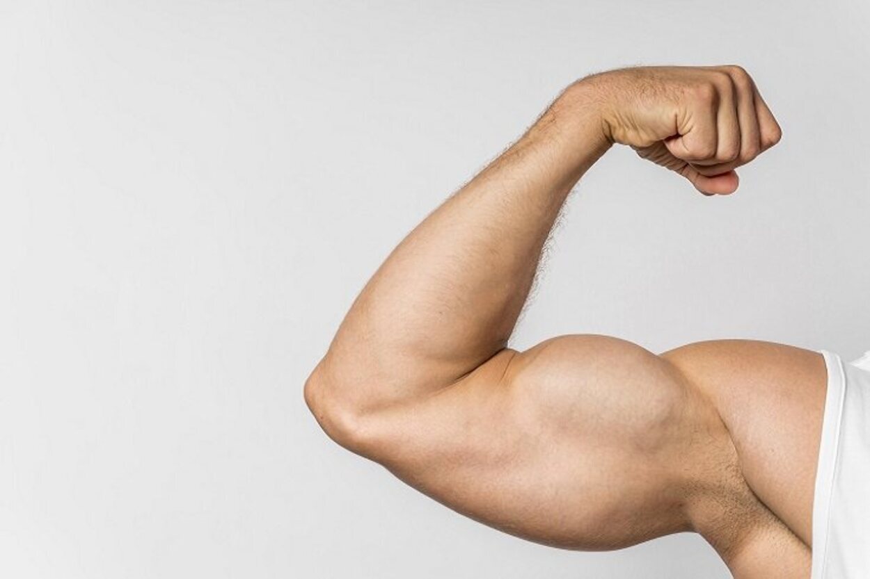  Para aumentar la masa muscular es necesario seguir una dieta rica en proteínas