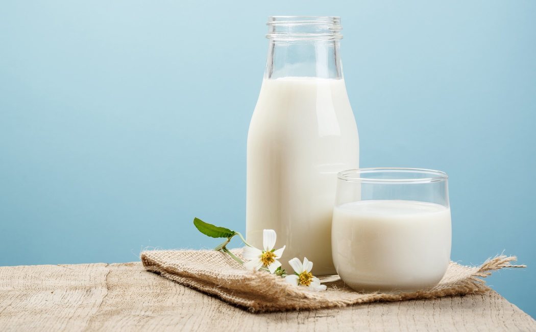¿Qué tipo de leche engorda más?