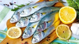 ¿Qué pescado es más sano?