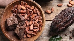 Propiedades y beneficios de tomar cacao puro